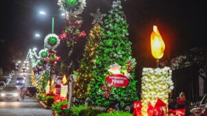 Emotivo encendido del Árbol en Capioví iniciando la Navidad