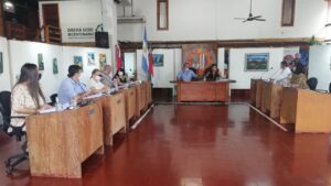 El Concejo Deliberante Obereño aprobó la licencia de Fernández