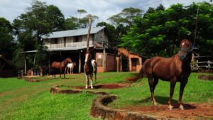 Comienza la semana del Turismo Rural Misionero