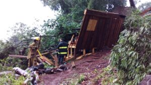 Cayó un árbol sobre su casa durante la tormenta y pide ayuda