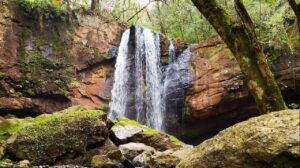 Solicitarán Pase Sanitario en atractivos turísticos de Oberá