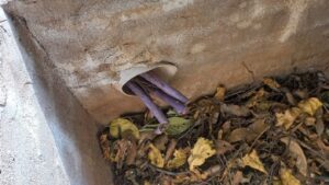 El SAMIC sin agua por culpa de delincuentes