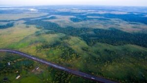 Nación creó la Reserva Natural Silvestre “Parque Federal Campo San Juan” en Misiones