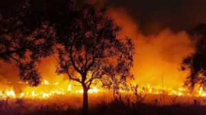 Corrientes: Ya son cerca de 519 mil las hectáreas arrasadas por los incendios