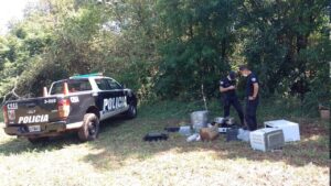 Nuevamente robaron y dañaron la Colectividad Portuguesa