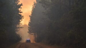 Los incendios se reactivaron en Campo Viera
