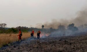 Destacan las inversiones para sofocar los incendios en Misiones