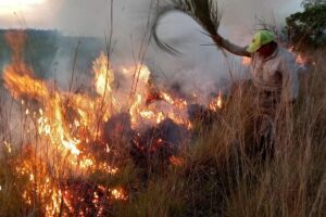 Incendio en Corrientes: Algo de alivio con la lluvia y pérdidas millonarias