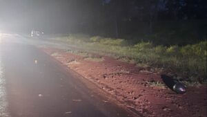 Falleció un joven en siniestro vial en la Ruta 103