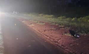 Siniestro vial en la Ruta 103 dejó como saldo un adolescente fallecido