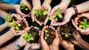 “Plantemos Futuro” para una ciudad más verde