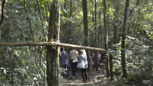 Vía Crucis en el Jardín Bíblico y en San Patricio