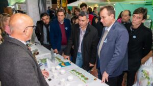 Campo Viera vive a pleno la Fiesta Nacional del Té