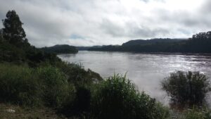 Comenzó a bajar el río Uruguay y trae alivio a diferentes localidades costeras