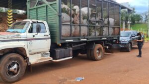 Frustraron el robo de más de 3 mil kilos de yerba mate en Villa Bonita