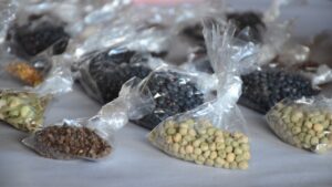 La Feria Provincial de semillas volvió al Parque de las Naciones