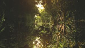 Natura llega a Misiones para presentar su modelo de negocios digitalizado