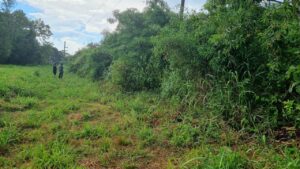 Hallaron el cuerpo de una mujer en un baldío de Oberá