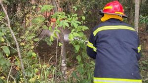Bomberos de la Policía llaman a tomar conciencia para evitar incendios