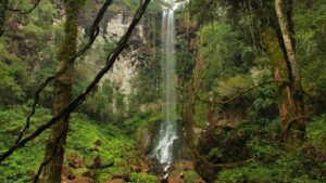 Rige el nuevo tarifario para el ingreso a los Parques Provinciales