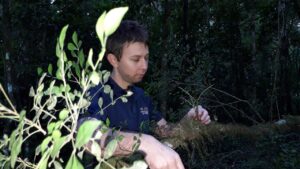 Ciudades con orquídeas: plantarán especies nativas en Leandro N. Alem