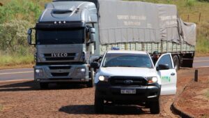 El INYM decomisó un cargamento de yerba mate