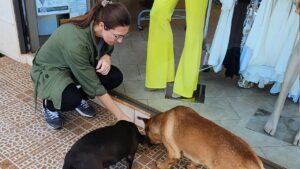 Proponen la Creación del Servicio de Guardia Veterinaria en Oberá