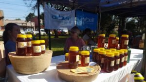 ¡Gran edición de la Fiesta Provincial de la Meliponicultura!