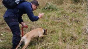 Bomberos Voluntarios obereños participaron de la búsqueda de Loan