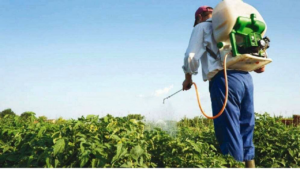 Linniens: «No nos saquen el glifosato»