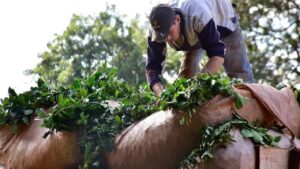 Steffen: «La situación viene empeorando día a día»