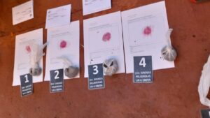 Desarticularon un nuevo punto de venta de droga entre Oberá y Guaraní
