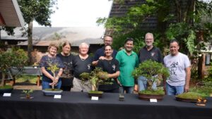 Los bonsai vuelven al Parque de las Naciones este fin de semana