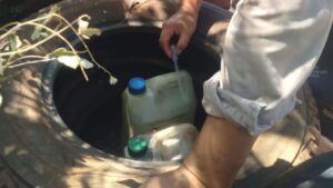 Dengue: Anticipan que el próximo brote será mayor