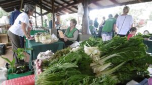 «Estamos en buen camino para mejorar la Feria Franca»