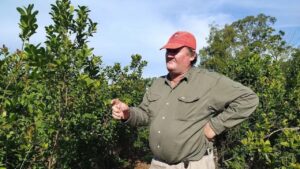 Protesta yerbatera: «No se puede aceptar por debajo de 350 pesos»