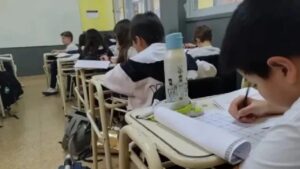 Mirta Chemes: «Los gremios nacionales acompañan el inicio de clases, pero no todo es color de rosa».