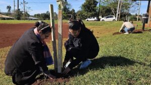 Se realizará la cuarta edición del proyecto Plantemos Futuro