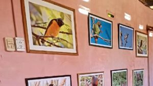 Granja La Lechuza celebrará el Día de la Tierra a través del Arte