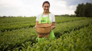 Carolina Okulovich: «La Expo Té te brinda un abanico de posibilidades»