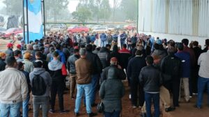 Productores yerbateros avanzan hacia el IMYM y el envasado en origen