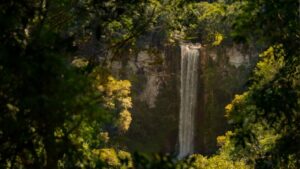 Experiencias del Salto ofrece experiencias encantadas