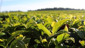 La CoProTe se reune con varios temas fuertes sobre la mesa