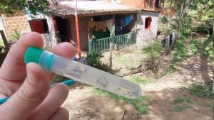 Comenzó el segundo operativo LIRAa 2025 en Oberá