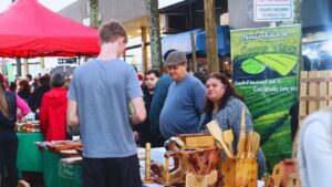 Lanzamiento temporada verano de los municipios de la Zona Centro
