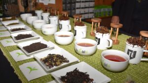 La Fiesta Nacional del Té lista para su 35a edición