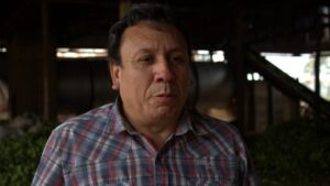 Maciel: «En la yerba mate, no existe el libre mercado»