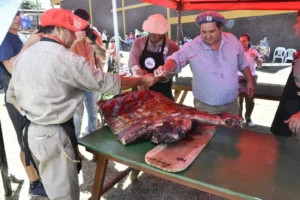 Carne de búfalo, una alternativa ante el aumento de los precios