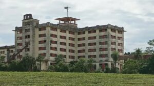 Una historia épica: Francisco kuhnlein, el pionero del té argentino