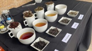«La Expo Té Argentina se ha vuelto la vidriera del té»